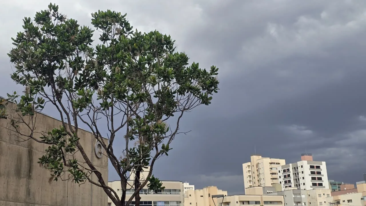 Chuva em Uberlândia: temporal coloca cidade em alerta para ventos fortes e queda de granizo